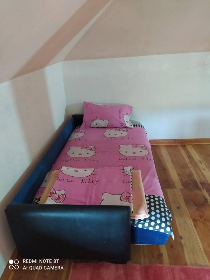 Vikendica Matic Villa Goc Buitenkant foto