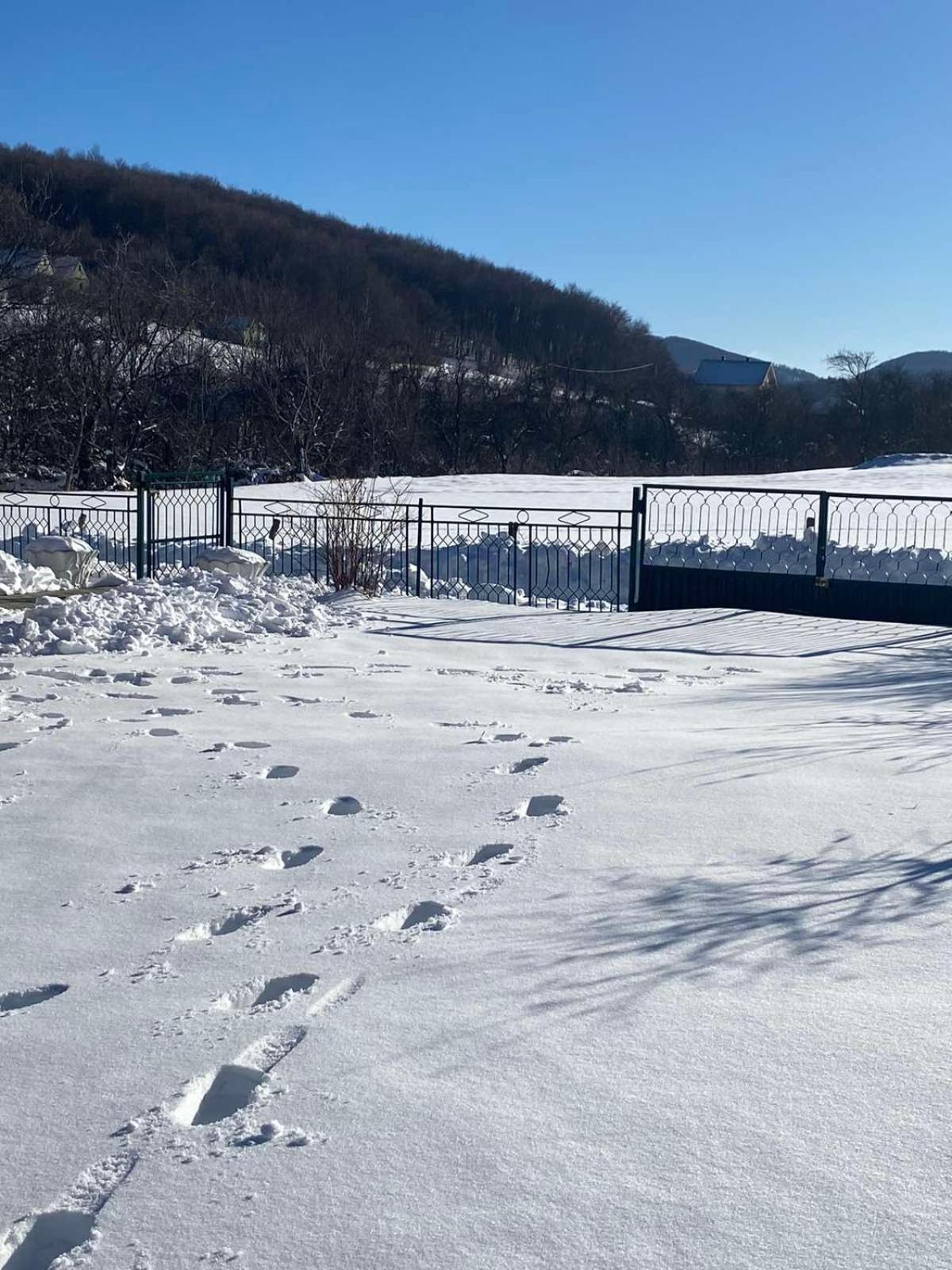 Vikendica Matic Villa Goc Buitenkant foto